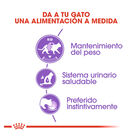 Royal Canin Feline Sterilised Salsa sobres para gato, , large image number null