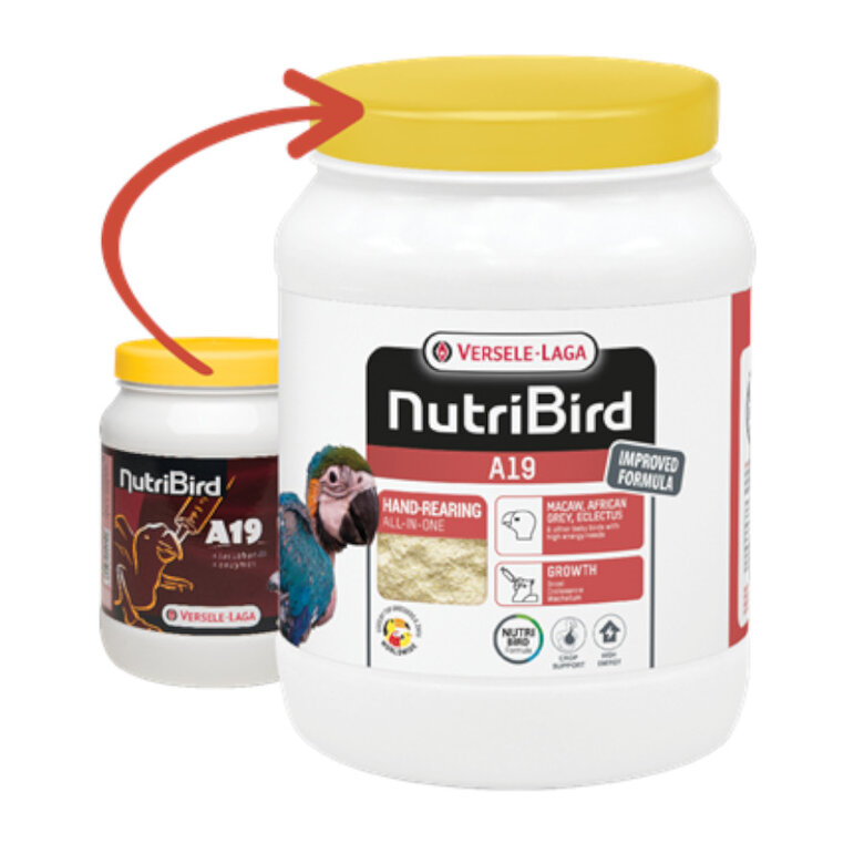 Versele-Laga NutriBird A19 Papilla para Cría de loros,  Imagen numero 1 Versele-Laga NutriBird A19 Papilla para Cría de loros, , large Imagen numero 1