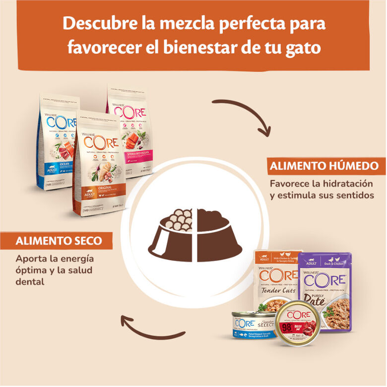 Wellness Core Adult Purely Pollo y Ternera en Paté sobre para gatos thumbnail
