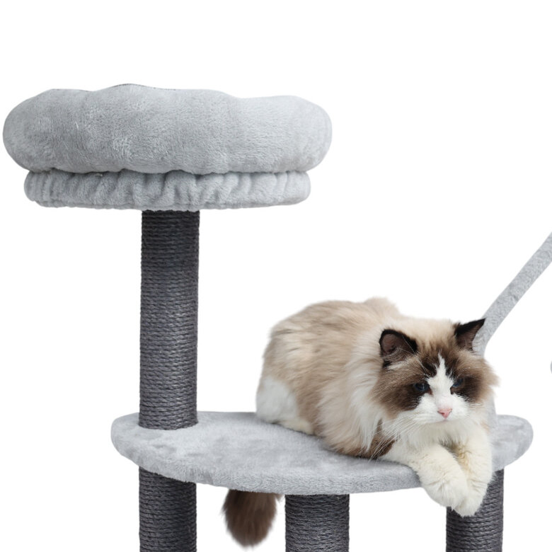 Leeby Kenzo árbol rascador con cama para gatos,  Imagen numero 3 Leeby Kenzo árbol rascador con cama para gatos, , large Imagen numero 3