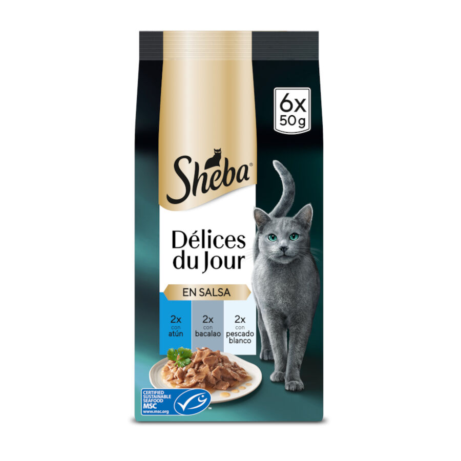 Sheba Délices du Jour en Salsa de atún, Bacalao y Pescado Blanco alimento húmedo para gatos