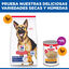 18 kg Hill's Science Plan Mature Adult Large Pollo pienso para perros, , large indicador imagen numero 8