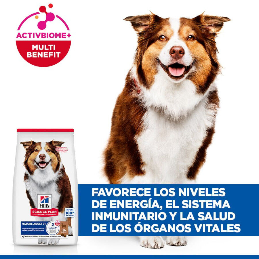 Hill&#039;s Science Plan Mature Adult Medium pienso cordero y arroz para perros de razas medianas thumbnail