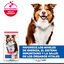 14 kg Hill's Science Plan Mature Adult Medium Cordero pienso para perros, , large indicador imagen numero 3