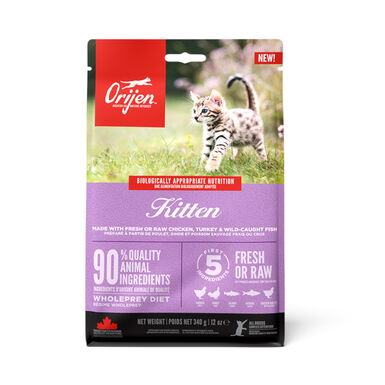 Orijen Kitten Pollo con Pavo y Salmón pienso para gatitos