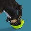 Baskerville Ultra Muzzle Bozal tipo canasta para perros, , large indicador imagen numero 3