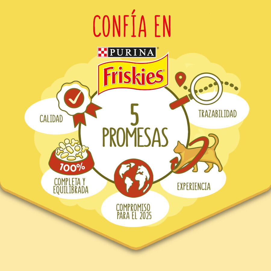 Friskies Adult Buey con Pollo y Verduras pienso para gatos thumbnail