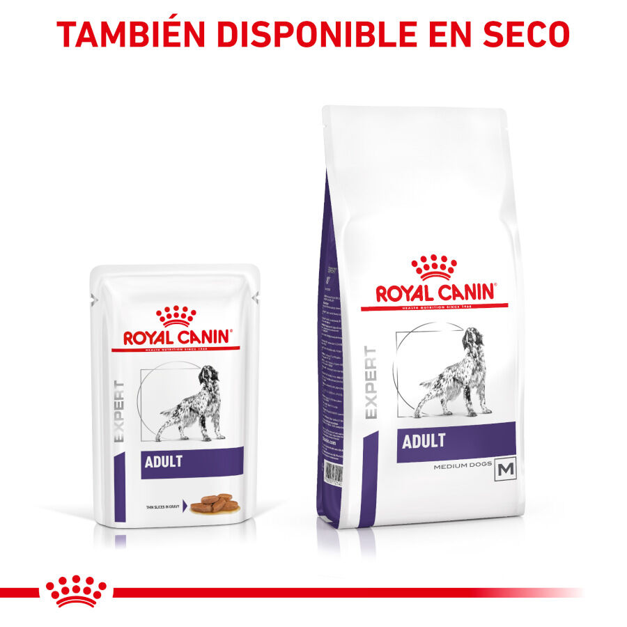 12 sobres x 85 g Royal Canin Expert Adult L&aacute;minas en Salsa sobre para perros, , large Imagen numero 6