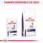 12 sobres x 85 g Royal Canin Expert Adult Láminas en Salsa sobre para perros, , large indicador imagen numero 6