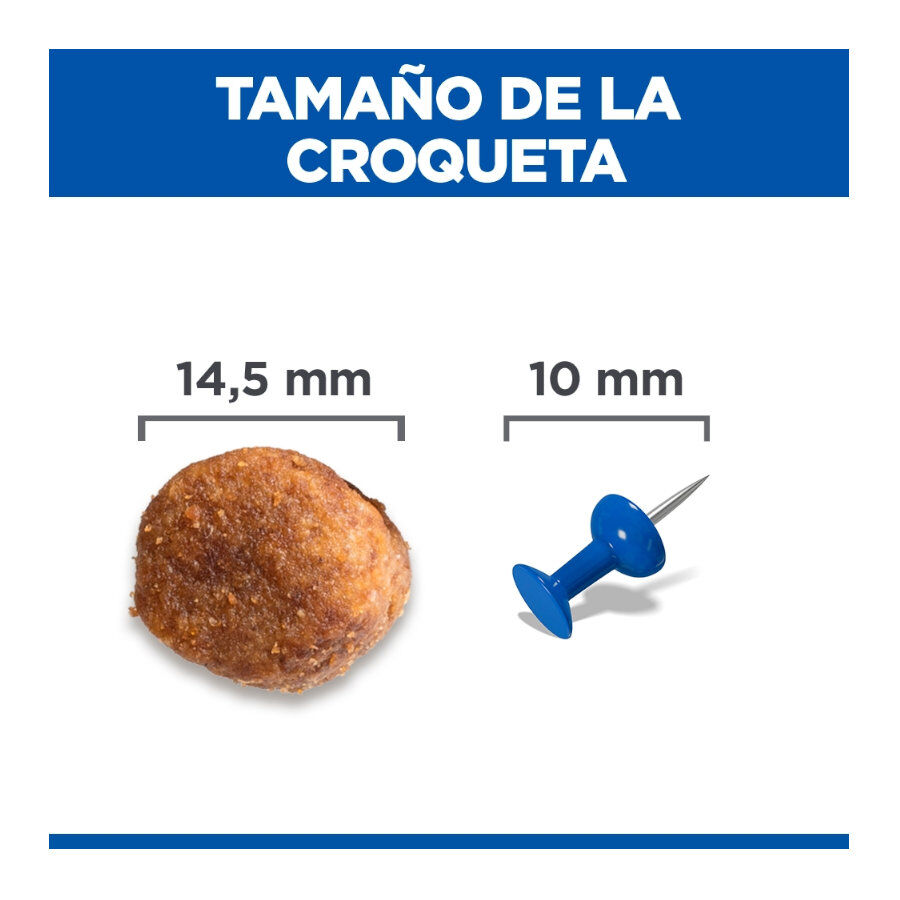 12 kg Hill's Science Plan Healthy Mobility Adult Large Pollo pienso para perros, , large Imagen numero 4