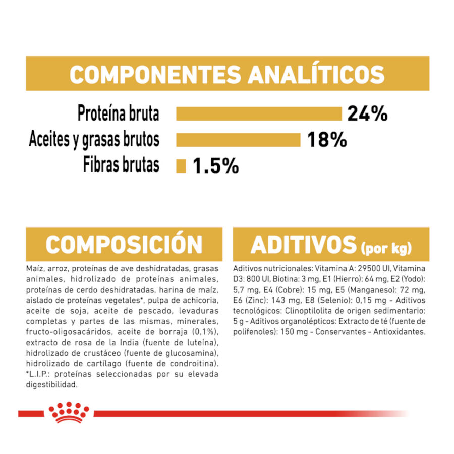 Royal Canin Adult Bichón Maltés pienso para perros thumbnail