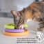Outward Hound Catstages Kitty Lickin’ Layers Comedero Interactivo para gatos, , large indicador imagen numero 3