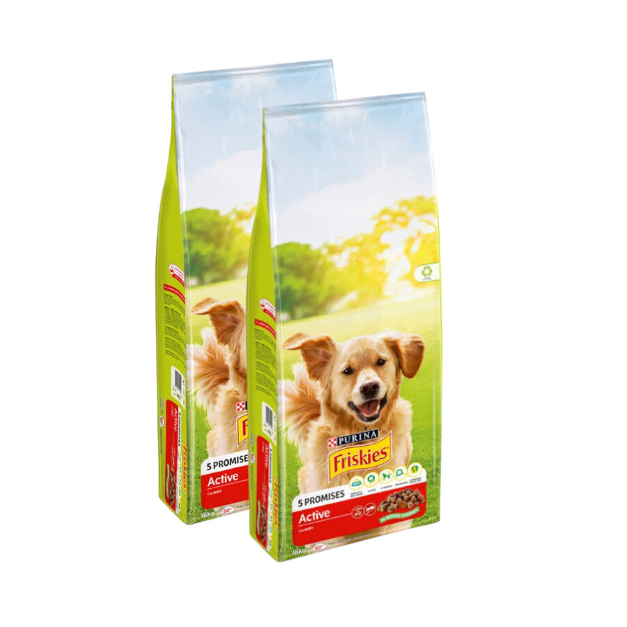 Friskies Active Pienso para perros