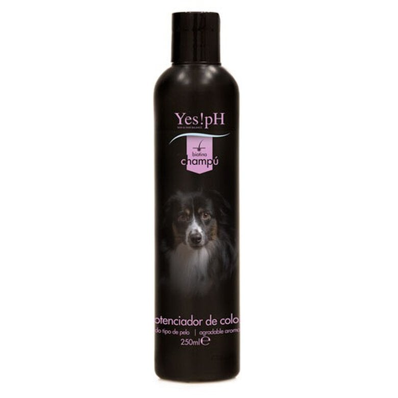 champu_perros_yes!ph_potenciador_color_YESTA38NCHB_M Imagen numero 1 Yes!pH potenciador color champú de perros Imagen numero 1