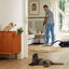 Beaphar CatComfort Excellence Difusor de Feromonas para gatos, , large indicador imagen numero 7