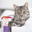 Beaphar CatComfort Difusor Relajante con Recambio para gatos, , large indicador imagen numero 3