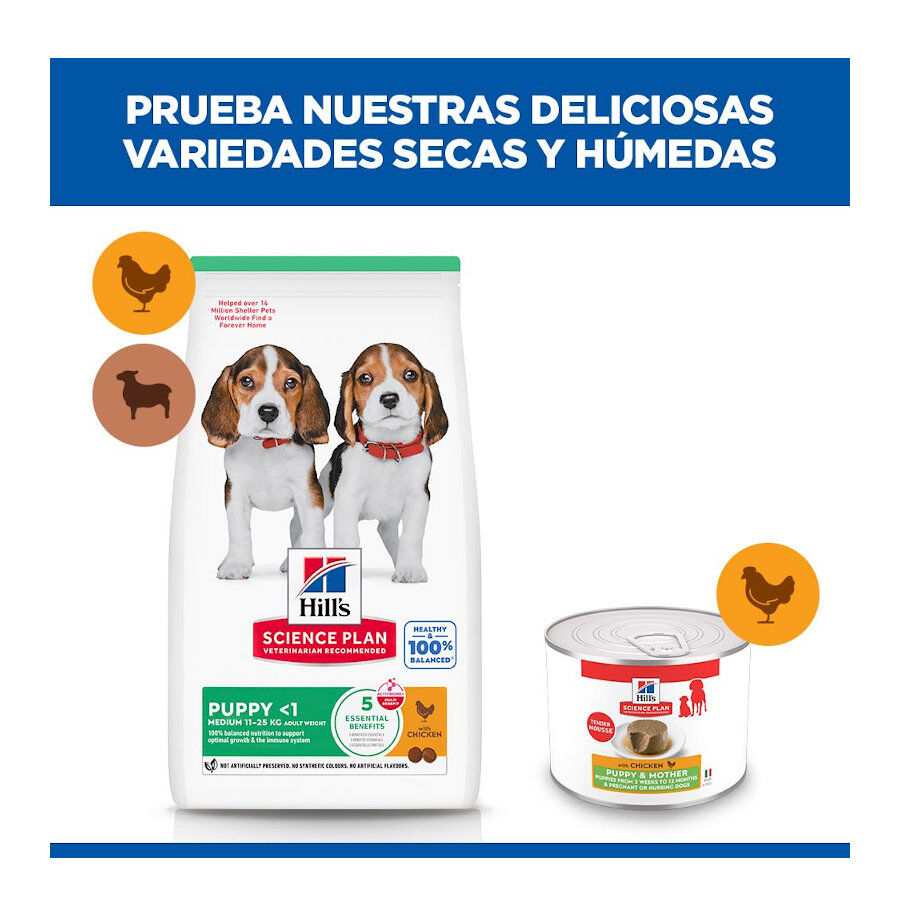 200 g Hill's Science Plan Puppy&Mother Mousse de Pollo lata para perros, , large Imagen numero 9