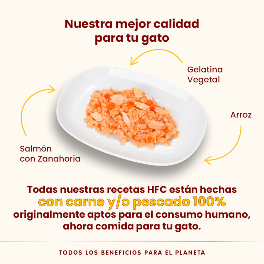 Almo Nature HFC Salmón con Zanahorias en gelatina lata para gatos thumbnail