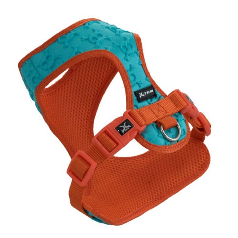 Nayeco Arnés Azul con Calaveras para perros,  Imagen numero 1 Nayeco Calaveras 3D arnés para perros azul Imagen numero 1