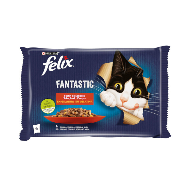 Felix Fantastic Carne en Gelatina sobre  - Multipack, , large image number null