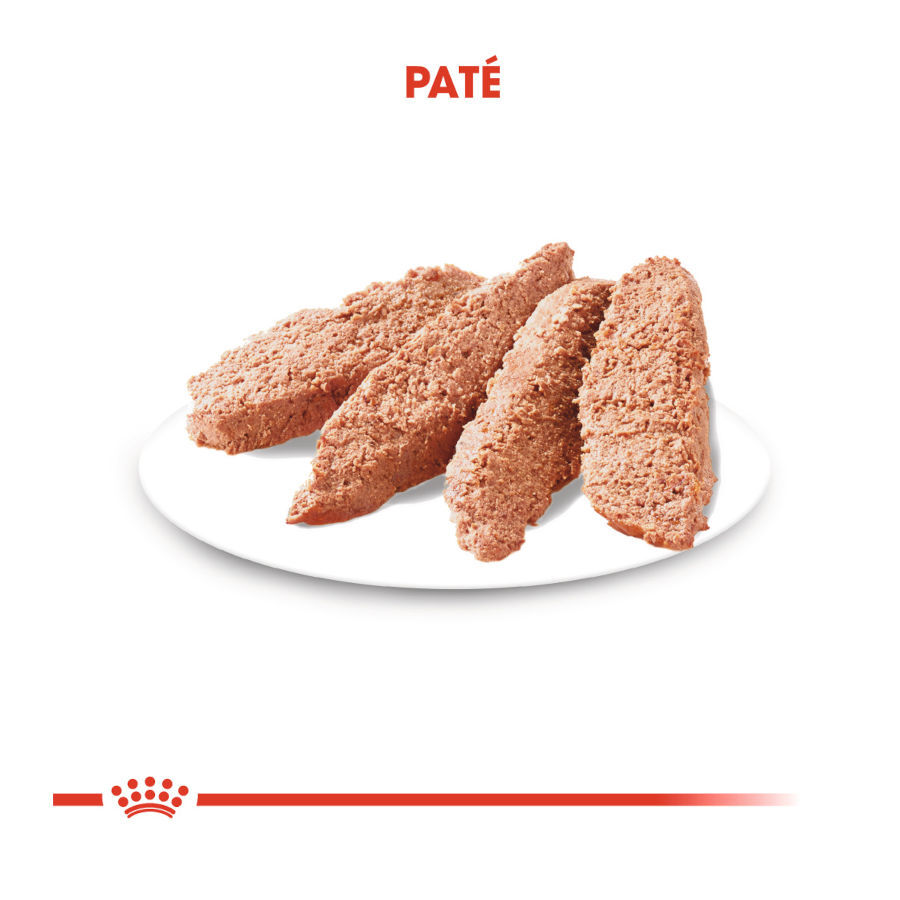 Royal Canin Digestive Care Paté sobres para perros thumbnail