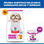 200 g Hill's Science Plan Mature Adult Small y Mini Mousse de Ternera lata para perros, , large indicador imagen numero 4
