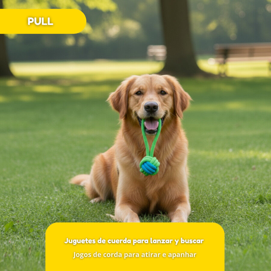 Tootoy! Mordedor de Cuerda con Pelota Verde para perros, , large Imagen numero 5