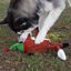 Wonder Christmas Zorro de Circo peluche navideño para perros, , large indicador imagen numero 4