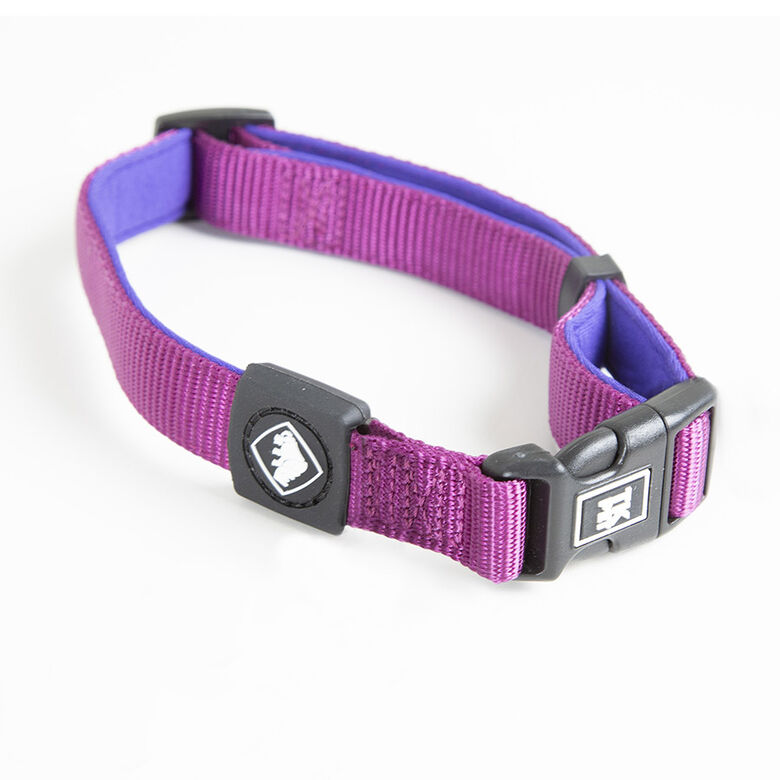 TK-Pet Neo Classic Collar de Nylon Morado para perros thumbnail