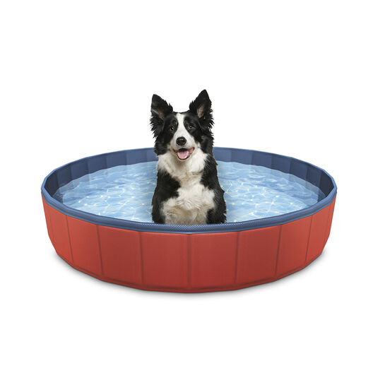 Summer Vibes Piscina para perro image number null
