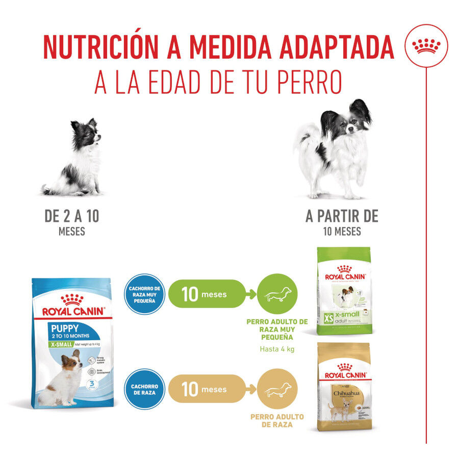 Royal Canin X-Small Puppy pienso para perros thumbnail