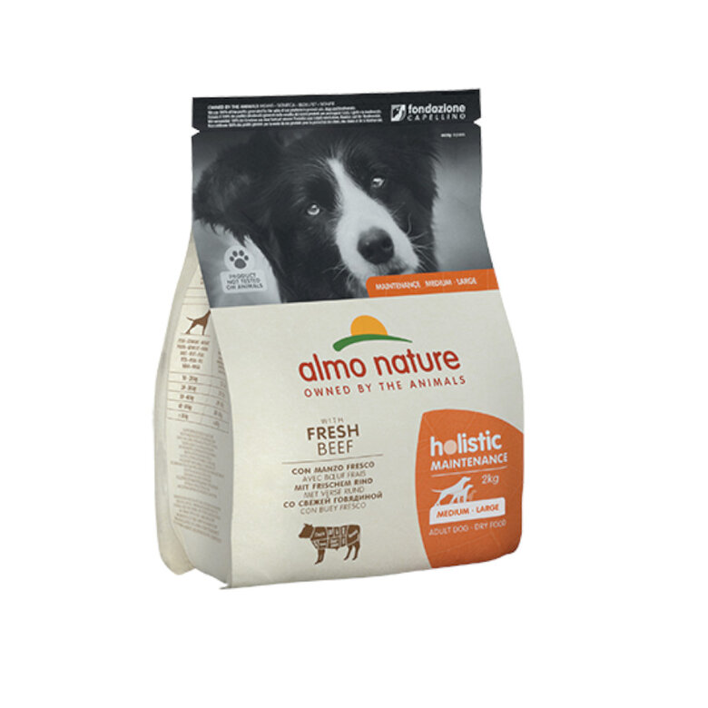 2 kg Almo Nature Adult Medium Holistic Maintenance Buey pienso para perros,  Imagen numero 1 2 kg Almo Nature Adult Medium Holistic Maintenance Buey pienso para perros, , large Imagen numero 1