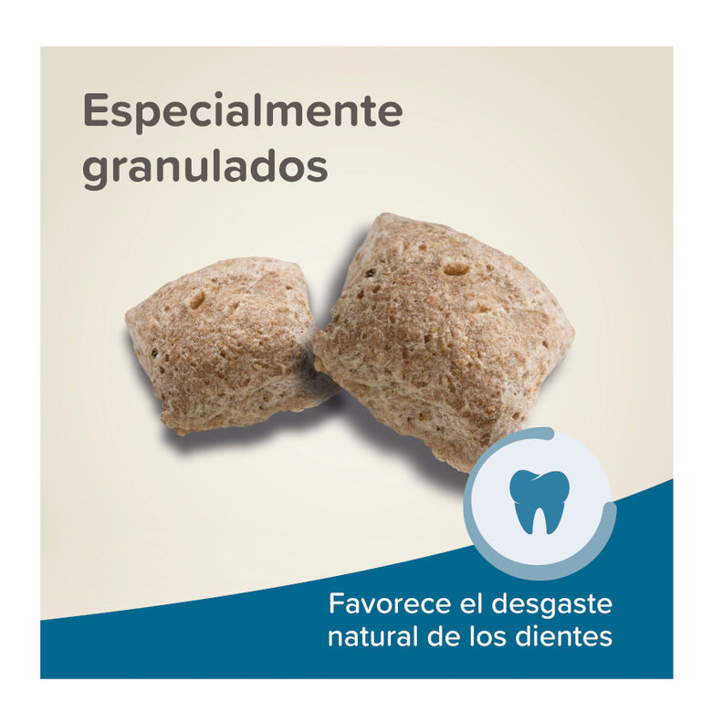 Beaphar Care+ Pienso para ratas,  Imagen numero 6 Beaphar Care+ Pienso para ratas, , large Imagen numero 6