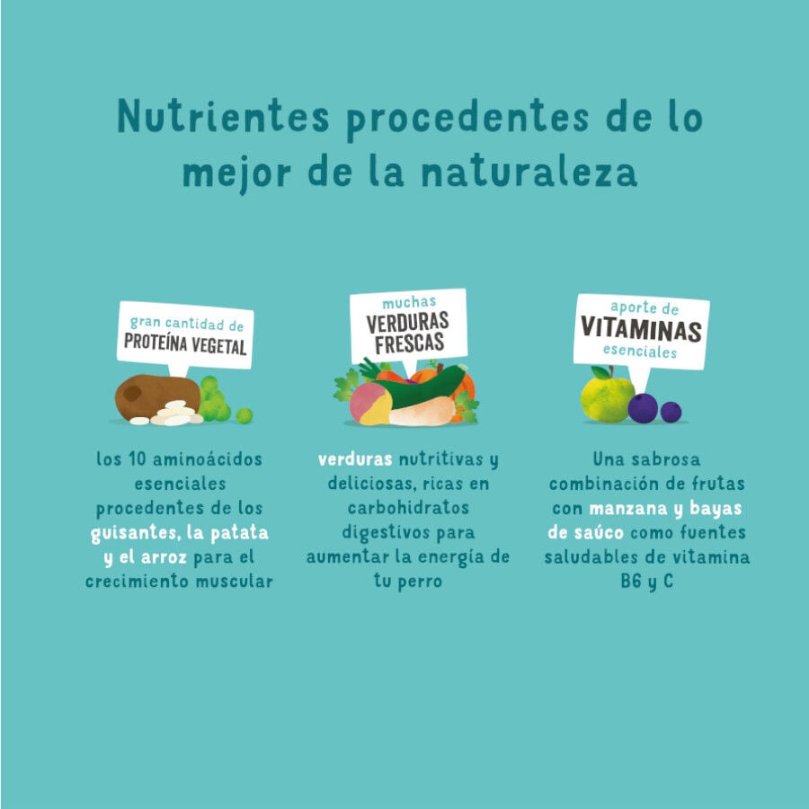 7 kg Edgard & Cooper Remolacha y Calabaza pienso para perros, , large Imagen numero 4