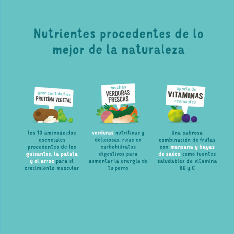 7 kg Edgard & Cooper Remolacha y Calabaza pienso para perros,  Imagen numero 4 7 kg Edgard & Cooper Remolacha y Calabaza pienso para perros, , large Imagen numero 4
