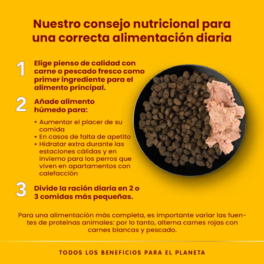 280 g Almo Nature HFC buey lata para perros, , large Imagen numero 4