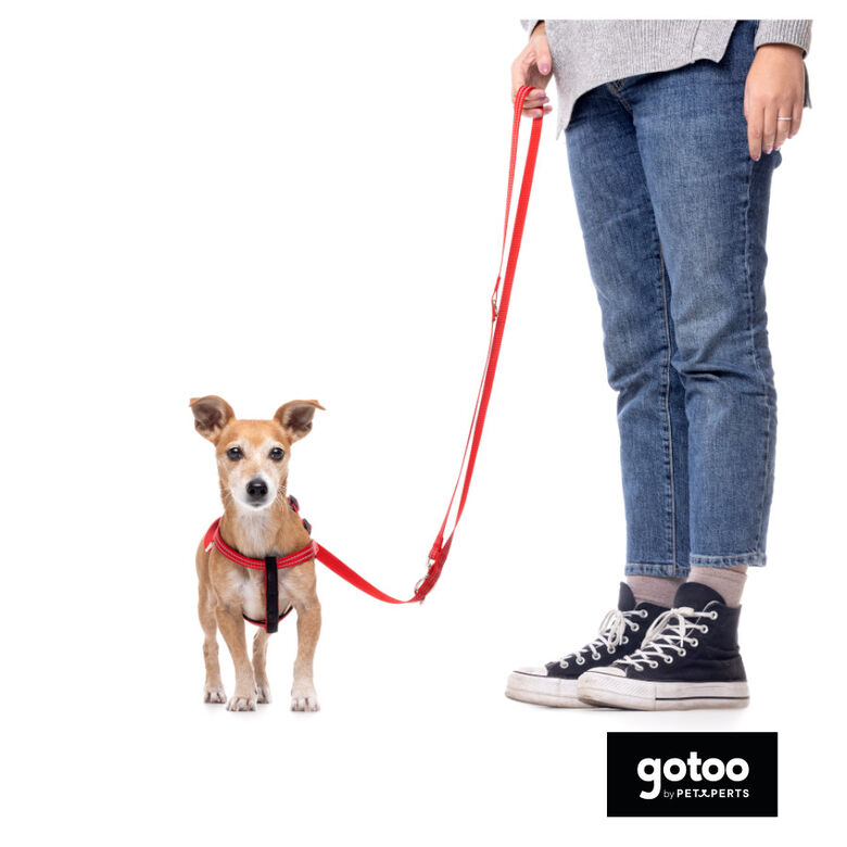 Gotoo Arnés reflectante de neopreno rojo para perros thumbnail