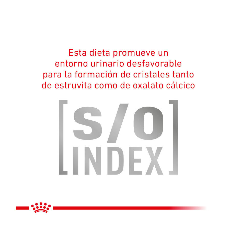 2 kg Royal Canin Veterinary Gastrointestinal Hairball pienso para gatos, , large Imagen numero 5