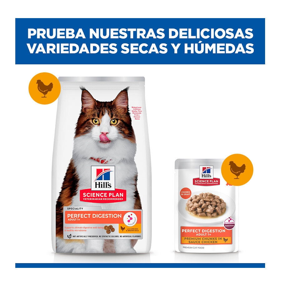 85 g Hill's Science Plan Adult Perfect Digestion Pollo comida h&uacute;meda para gatos, , large Imagen numero 9