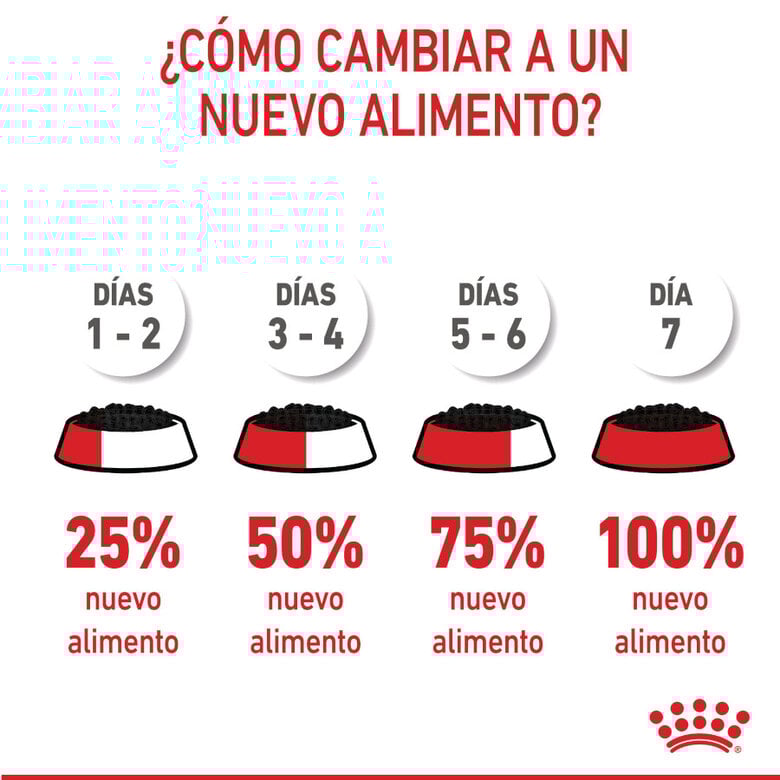85 g Royal Canin Kitten paté sobre para gatos,  Imagen numero 10 85 g Royal Canin Kitten paté sobre para gatos, , large Imagen numero 10