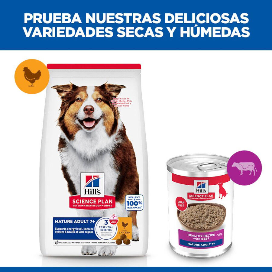 370 g Hill's Science Plan Mature Adult 7+ Ternera en Pat&eacute; lata para perros, , large Imagen numero 6