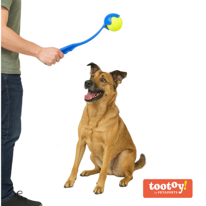 Tootoy! Tennis Ball Launcher Lanzador de Pelotas Azul para perros thumbnail