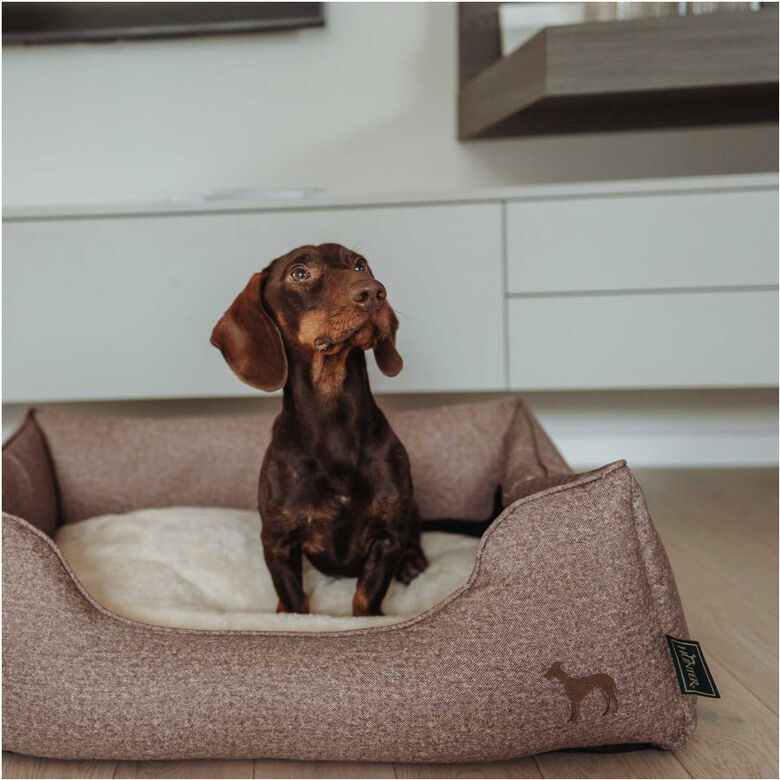 Hunter Boston Cozy Cama Marrón para perros thumbnail