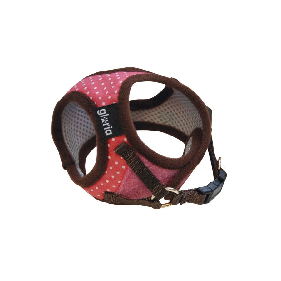 Gloria Arn&eacute;s Rosa con Lunares para perros, , large Imagen numero 1