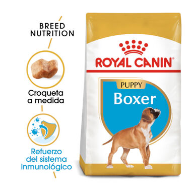 Royal Canin Puppy Boxer pienso para perros