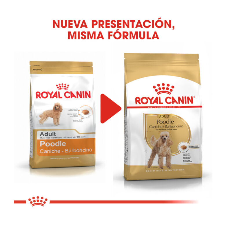 Royal Canin Adult Poodle pienso para perros thumbnail