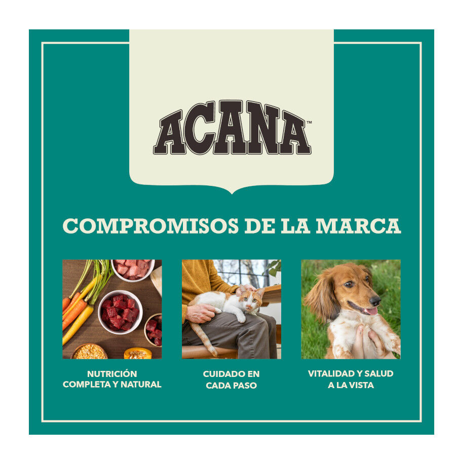 11.4 kg Acana Coldwater Fish pienso para perros, , large Imagen numero 11