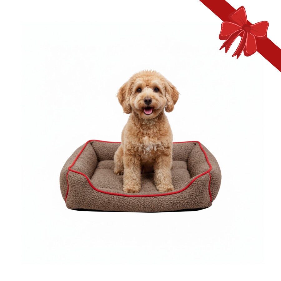 Wonder Christmas Cama Navideña Marrón y Roja para perros thumbnail