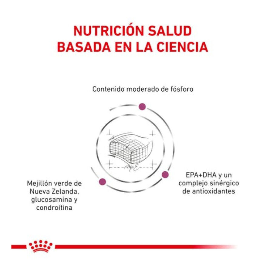 Royal Canin Veterinary Early Renal pienso para gatos thumbnail