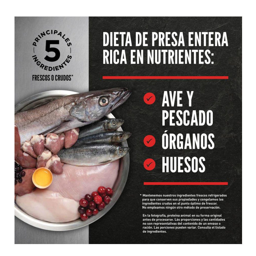 Orijen Original pienso para gatos y gatitos thumbnail